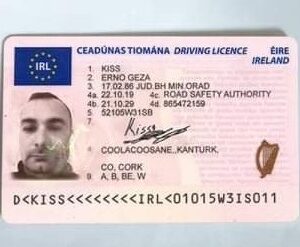 Irish Driving License | renew irish driving license | irish driving license application