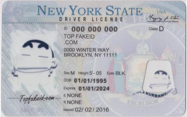 New York ID |new york state id |new york gov id